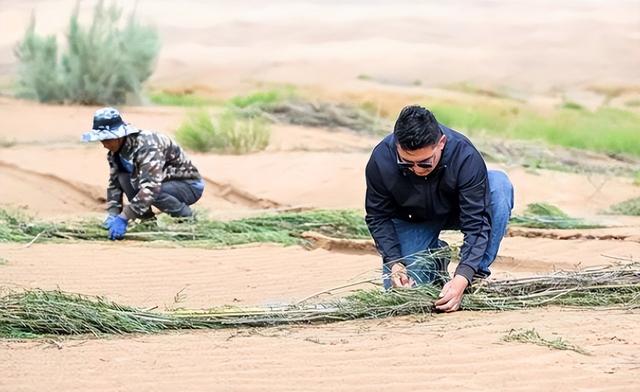 别再忽视！蒙古国的暗中操作，正在吞噬中国人47年的奋斗成果