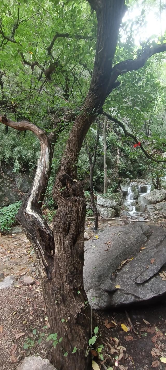 王顺山松岩瀑布