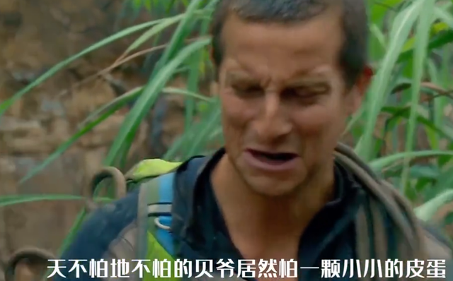 博主在瑞典逛 恶心食物博物馆，燕窝 猪脑就忍了，看到皮蛋绷不住了