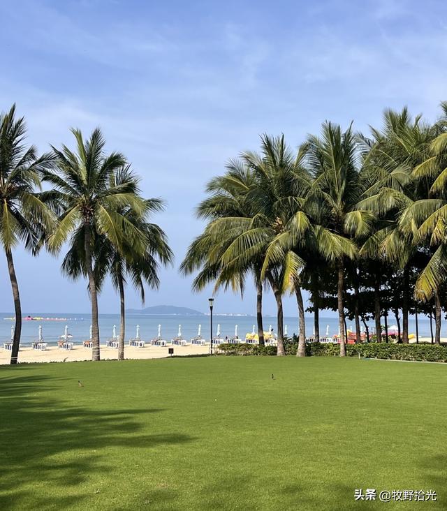 实测有效！春节出游踩了4个坑后，我总结出了这份“避坑清单”