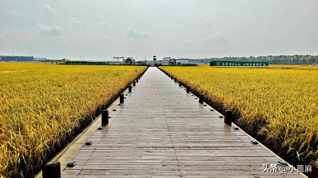2025 我的寻秋之旅 D3 铁力—庆安—海伦