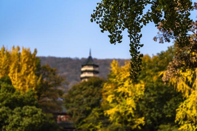 寻幽韬光寺：我在这座人迹罕至的古刹，遇见了杭州最禅意的秋天