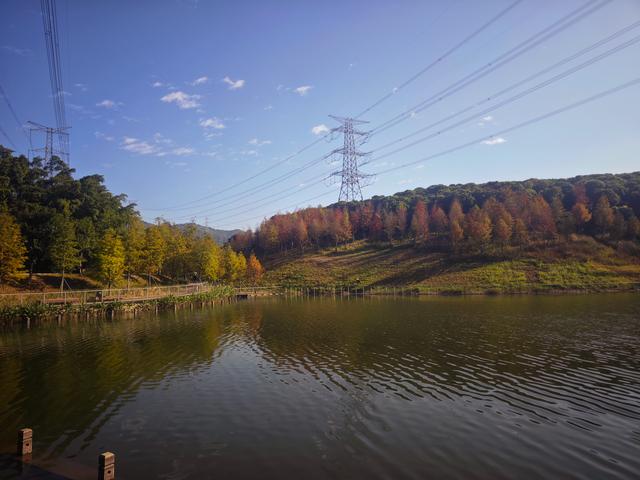 从丽康路穿荔园溪谷至西丽湖绿道骑行随拍