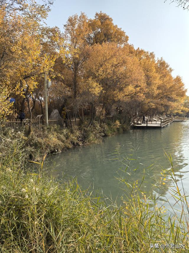 2025环南疆沙漠铁路背包自由行日记(4)——游览泽普金湖杨景区