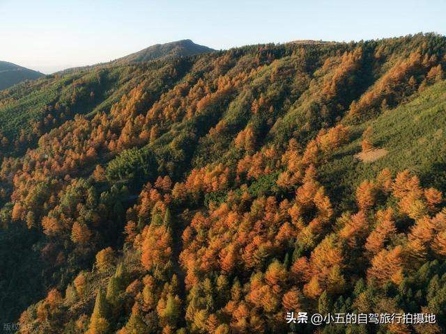 安吉秋日赏秋实测攻略！8 大打卡地 + 交通干货，直接抄