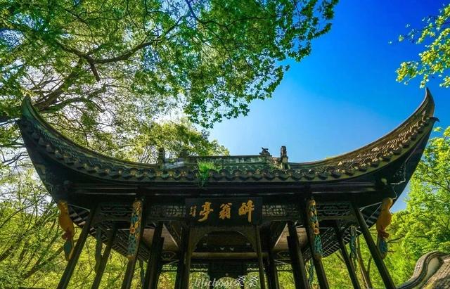 体荟四季｜逃离40℃！这几处“清凉秘境”真的绝了！