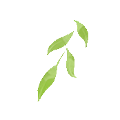 看完《山水间的家》，一人说一个爱上米脂的理由！