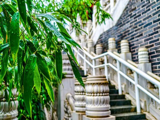 发现丰台之美 | 盛夏，丰台生态画卷邀您——