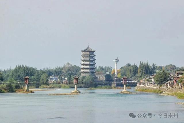 速来→崇州正上演初冬金色浪漫大片！