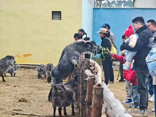 文旅融合激活消费新动能——港南区元旦假期接待游客12.58万人次