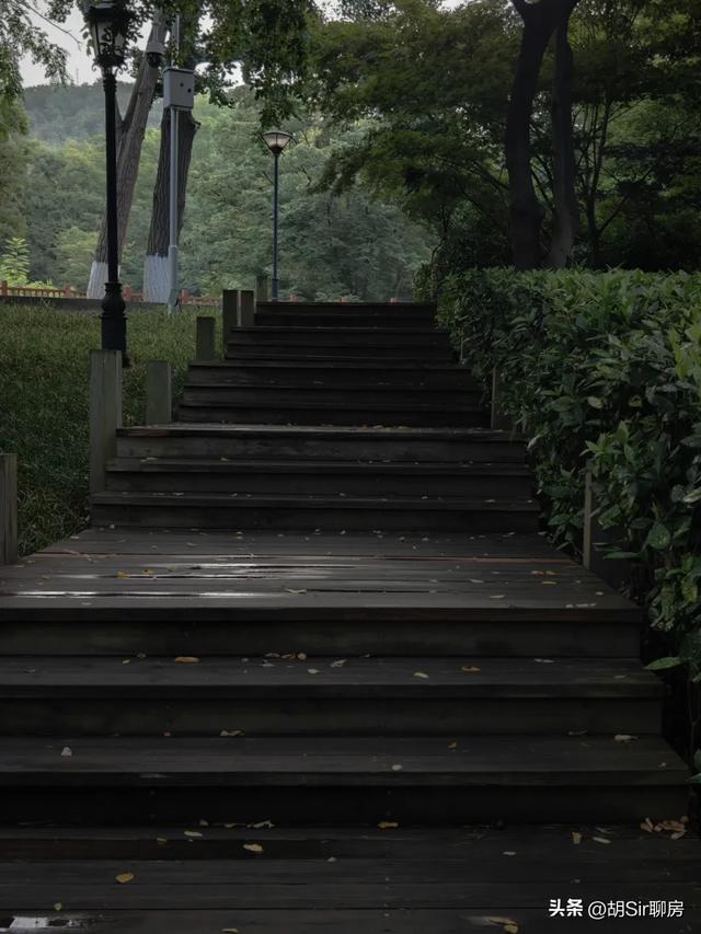 来青岛数十年,竟错过这里!