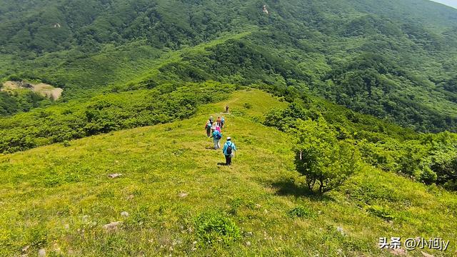两次本溪南岭徒步记｜高山草甸，湖池松林，我被南岭种草