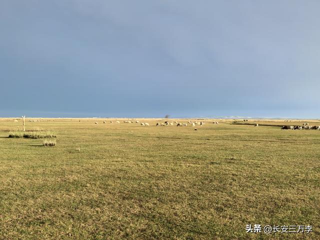 北上大草原第7站：入住贡格尔草原深处