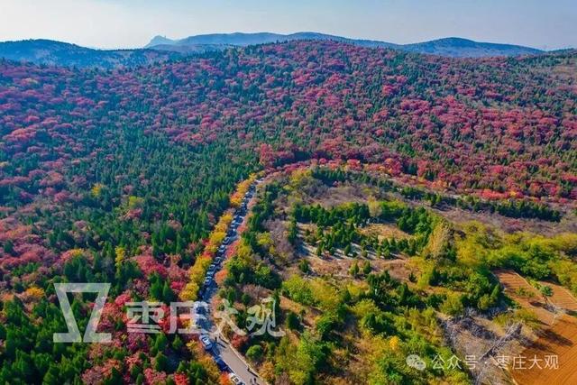 实拍枣庄牛郎山进入红叶观赏期！