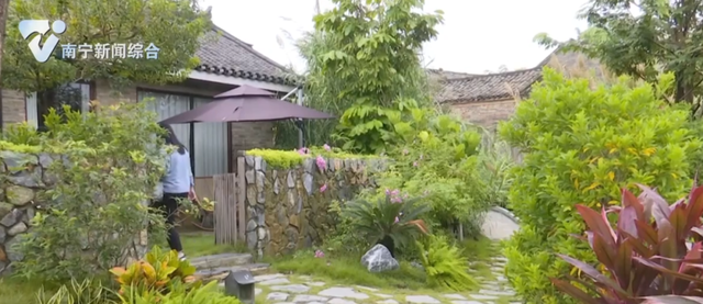 秋风稻浪，满目金黄！在南宁三江口，邂逅诗意秋天