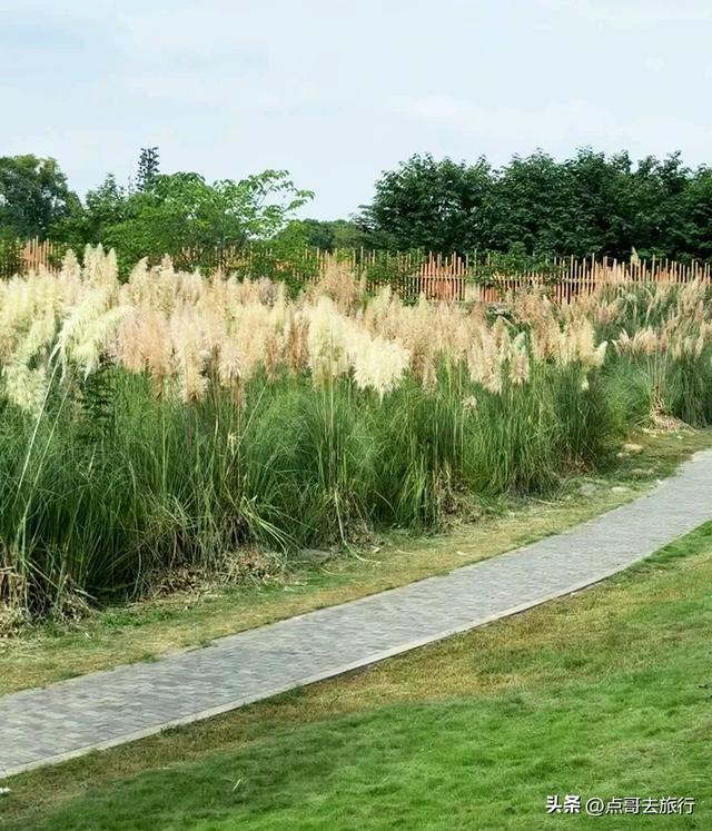 成都5个小众景点，每一处都让人惊讶，不要门票，地铁公交直达！