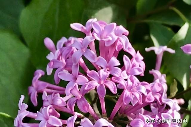 别只贪恋爱的甜，却躲不过生活的盐。