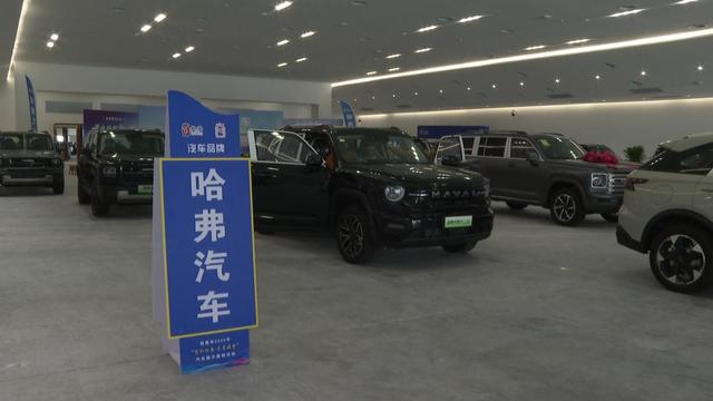 市民游客畅游文博会场馆 E馆F馆多元文化展魅力