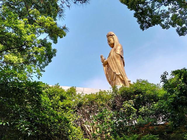 奔赴普陀山，开启一场触动灵魂的心灵奇旅！