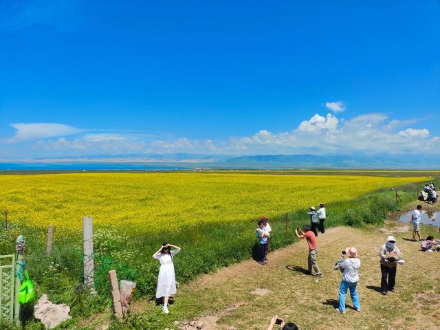 青海四日自驾游：一次完美的避暑度假小作业