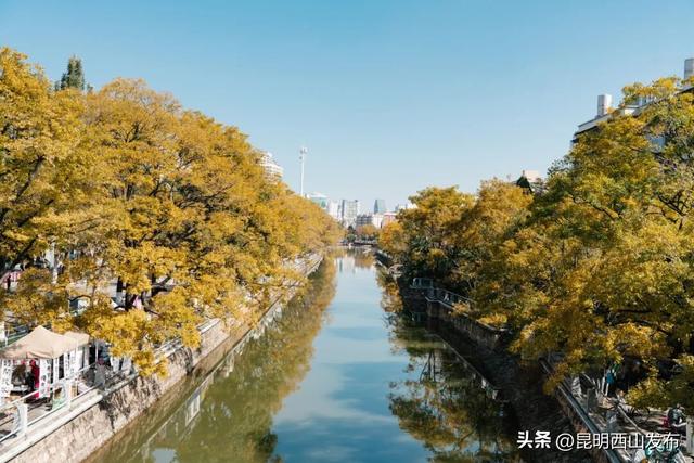 西山漫行·金秋拾趣 | 西山秋日必追浪漫清单来袭，最快现在可冲！