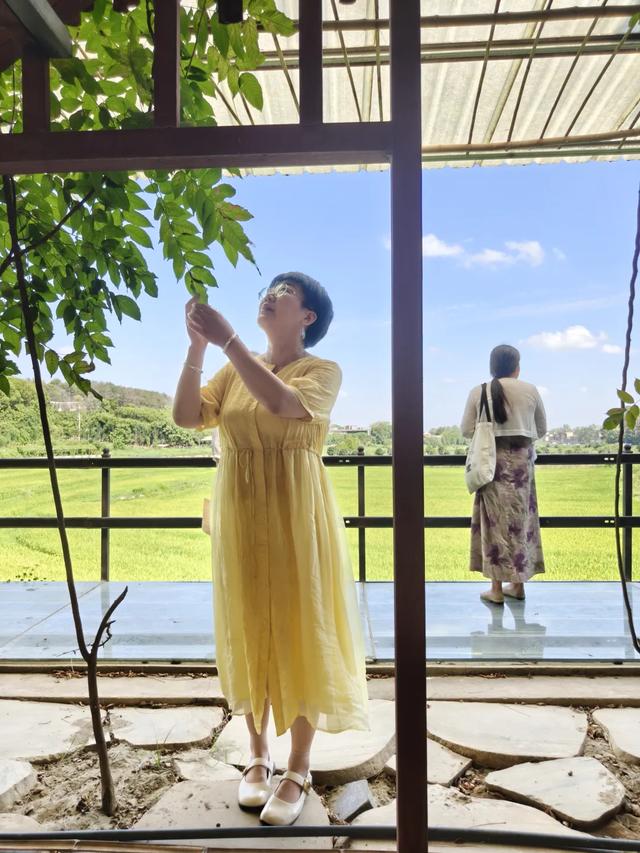 秋风起，栾花入梦来