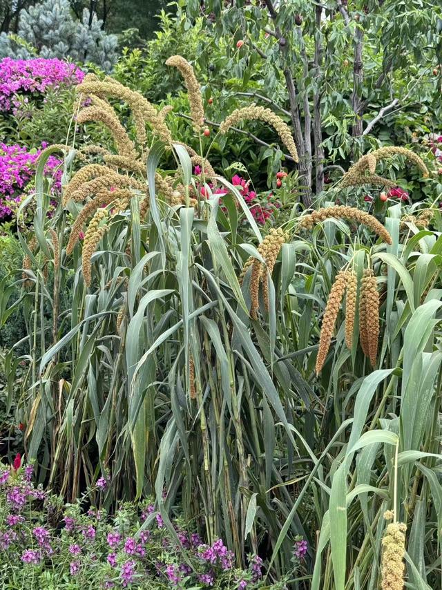 这很中国！长安街10座花坛植入80年历史变迁——