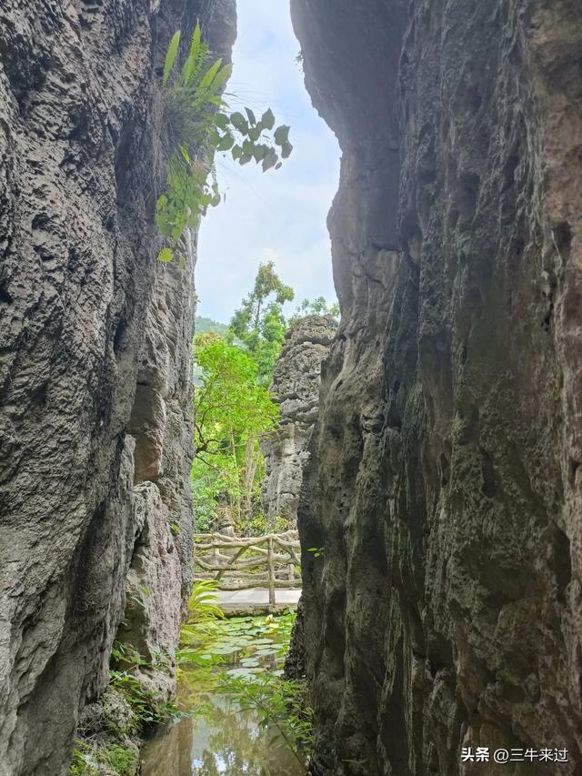 无为在歧路，贵州六日行（8）～黄果树