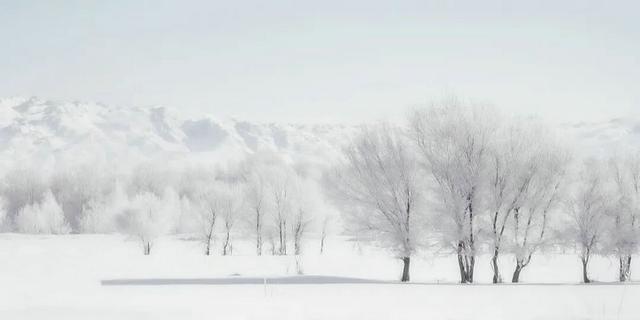 阿勒泰冬日独白