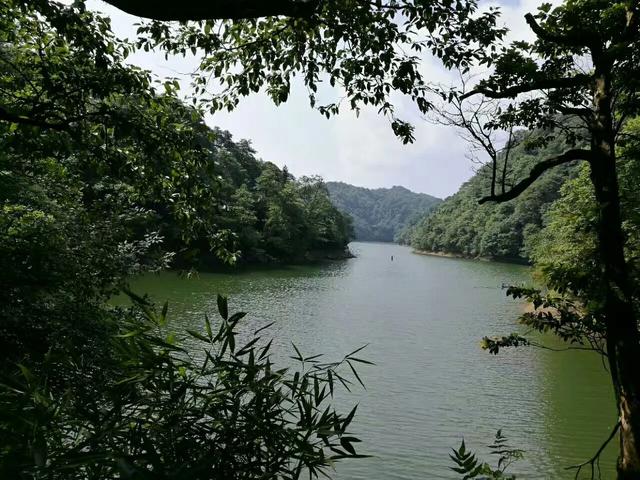 贵州绥阳的宽阔水原始森林