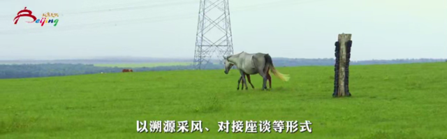 “南水北调自驾游”启程！北京文旅支援合作行动计划发布