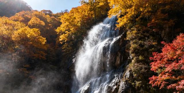 赏秋正当时!自驾来汉中,赴一场秋日视觉盛宴~