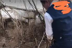 邯郸遇害初中生父亲再发声，带律师去大棚挖坑测试，怀疑另有帮凶图片