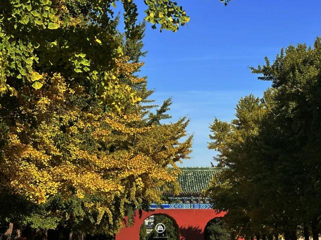 扬州冬始，园林私语