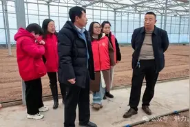 古交市：强化设施大棚安全检查 筑牢农业安全生产防线图片