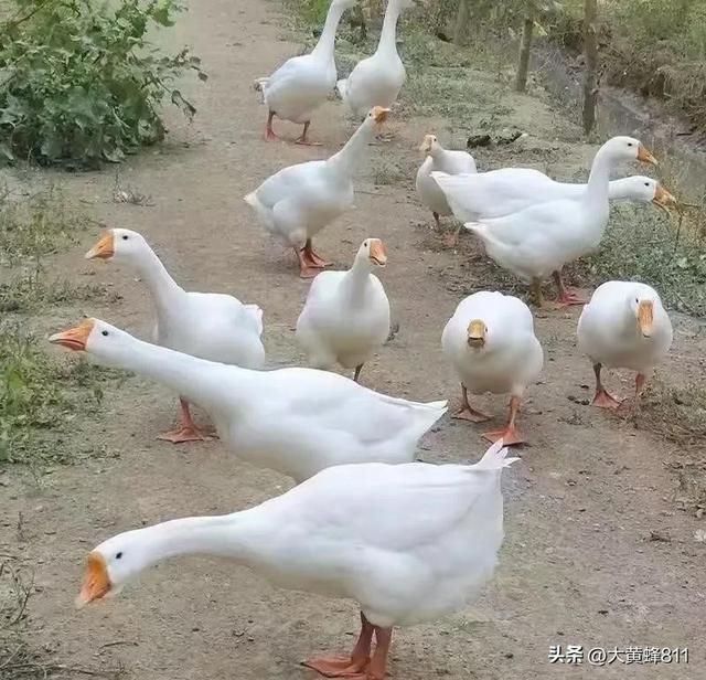 认识大美浙江的每个县——第三波：象山