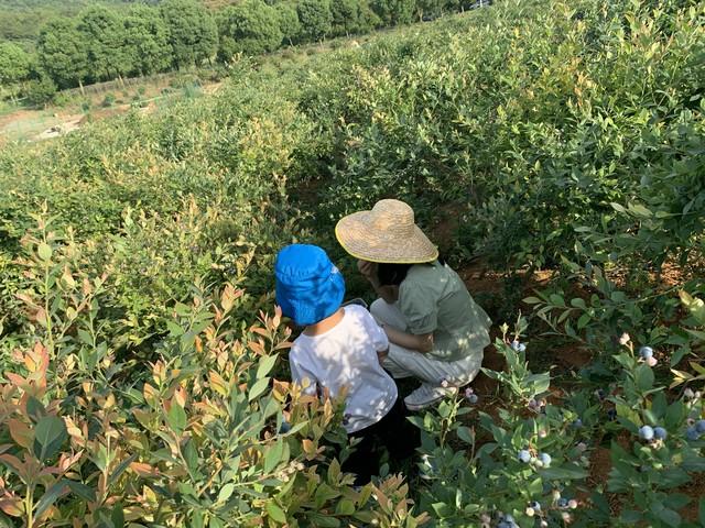 不是迷信！明日立秋，记住“1不洗，2不做，吃3样”，别再忽略了