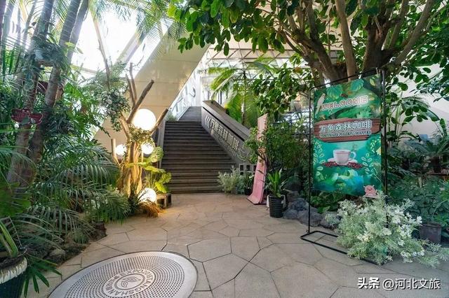 你知道吗？去唐山南湖这些地方，可以抄近路～