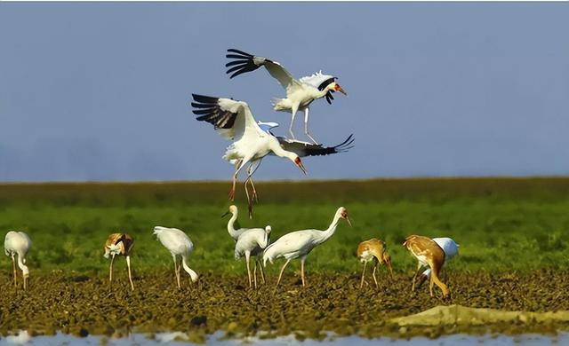 九江这几个有山有水的村子，氛围感拉满！