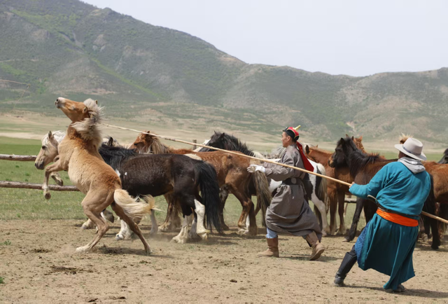 巴林右旗“蒙乡呼特勒”草原风情景区入选国家2A级景区！
