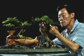 别人不要的酒瓶，70岁的林先生做成“盆景”，绝美，花钱都买不着图片