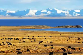 中国边境县城概况:当雄——青藏高原的核心地带！图片