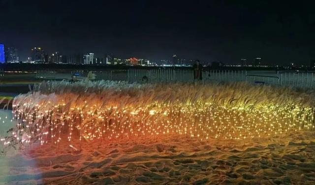 假期快乐不落幕！湛江坡头用光影与海风，为你的年味“续杯”