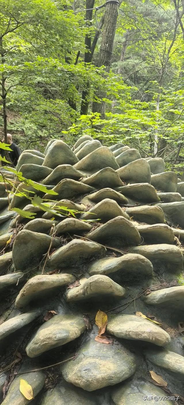 只见山水,不恋家