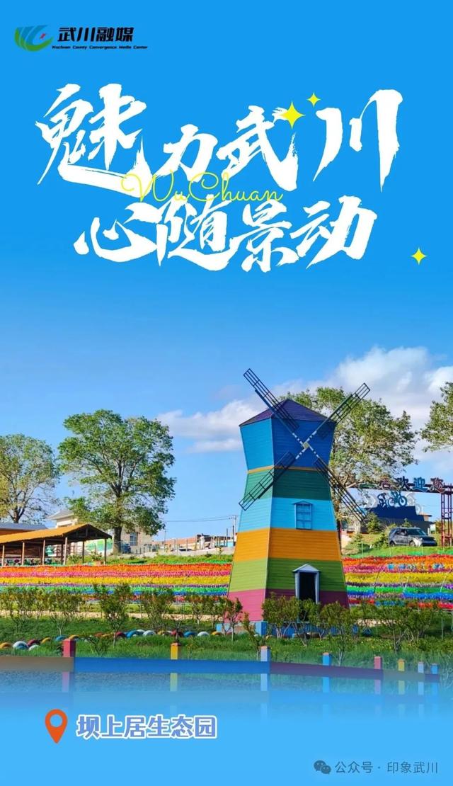 北疆文化 印象武川丨看见武川的美（一）