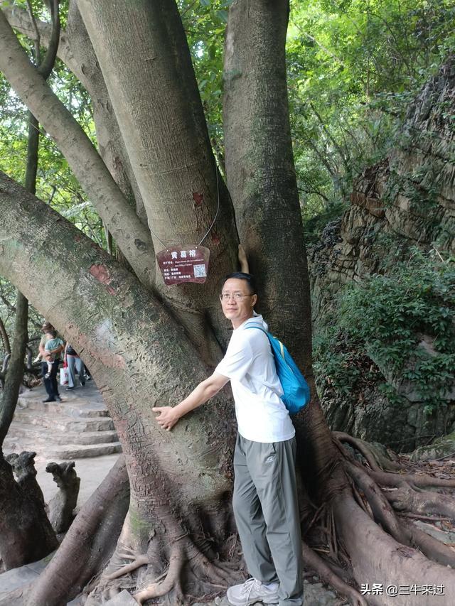 无为在歧路，贵州六日行（8）～黄果树