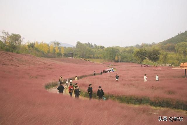 美在邯郸丨初冬的紫山