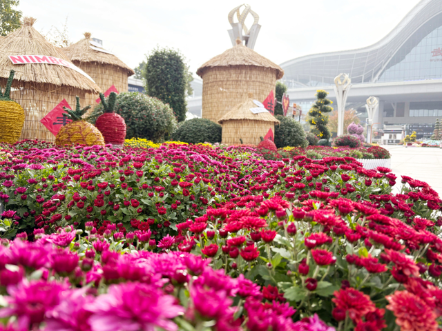 年度金秋盛宴来了，武汉城建集团邀您逛菊展、赏名菊、拍美照！