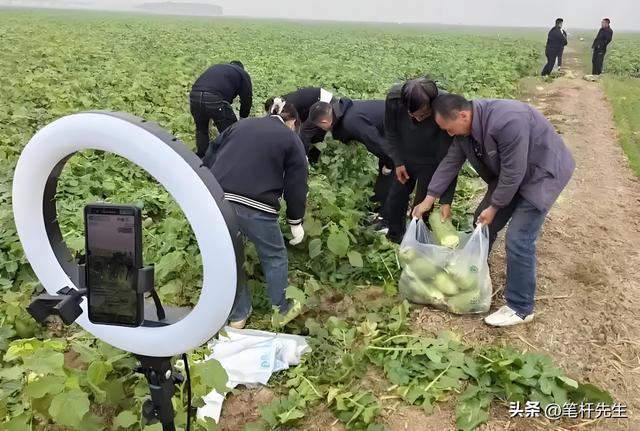 农货直播变“男人主场”！52%下单是男性，这套路太懂中年人
