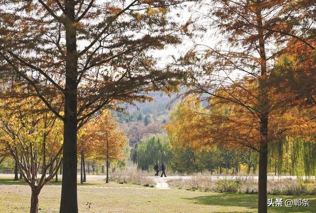 美在邯郸丨初冬的紫山